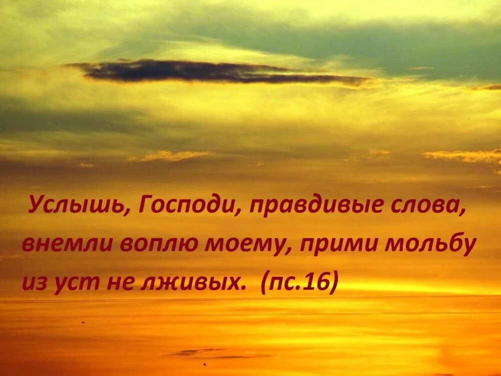 Услышь Господи молитву мою и внемли воплю моему. Господи Услышь Мои слова. Бог слышит Мои молитвы. Услышь Господь вопль мой. Внемлющий молитве