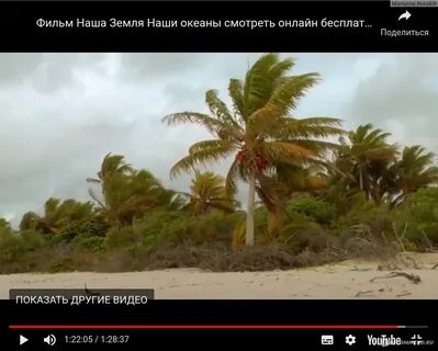 Самые дикие песни