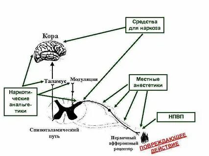 Общая схема действия