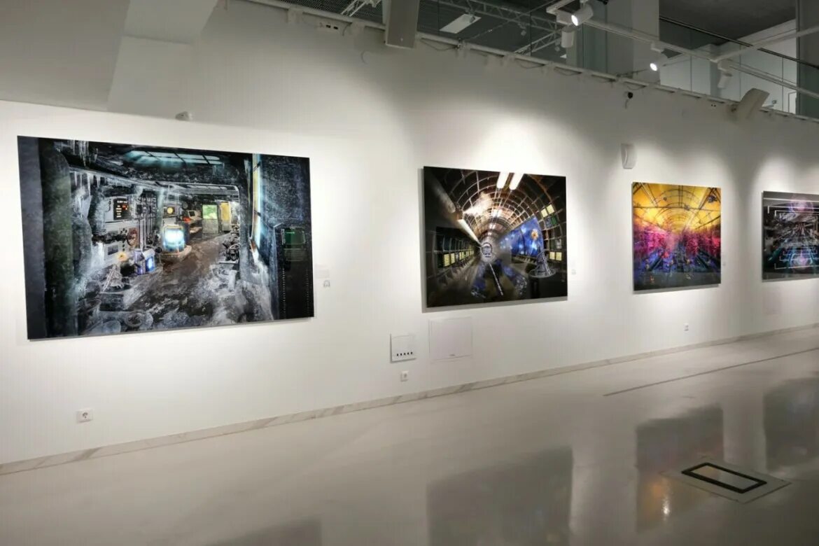 Галерея 3146551 
