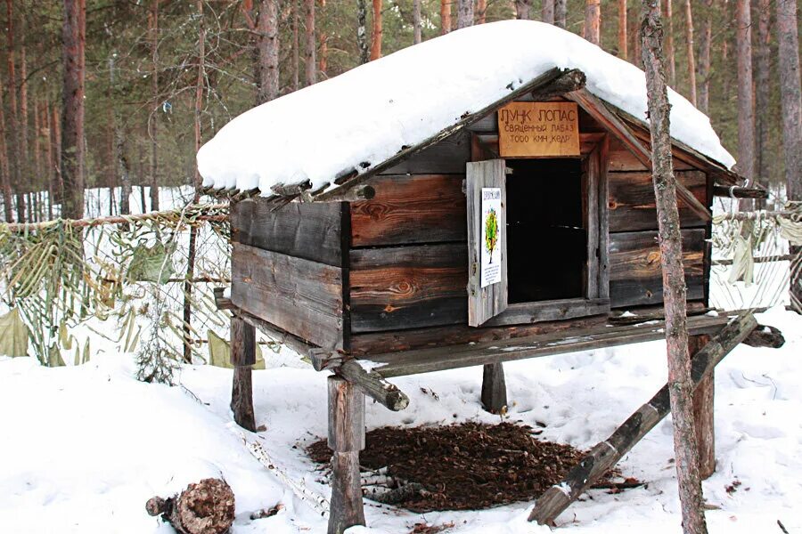 Место для хранения продуктов ханты и манси. Лабаз Ханты и манси. Жилище манси. Хантыйский лабаз. Национальное жилище манси.