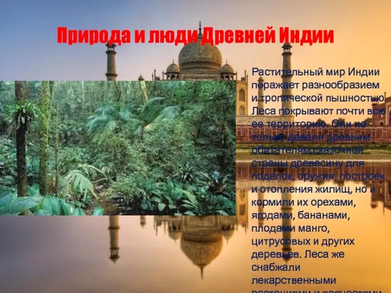 Природа и люди древней Индии. Древняя Индия 5 класс. Древняя Индия презентация. Растительность древней Индии. Условия и занятия древней индии