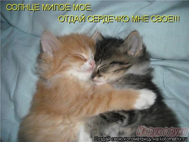 Солнышко улыбается. Милое любимое солнышко. Хорошего дня солнышко. Любимый зайчонок. Доброе утро солнце.