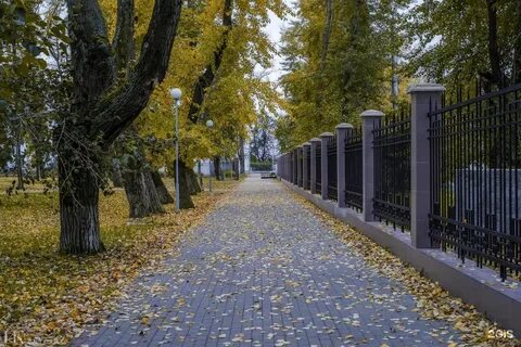 Парки в архангельске