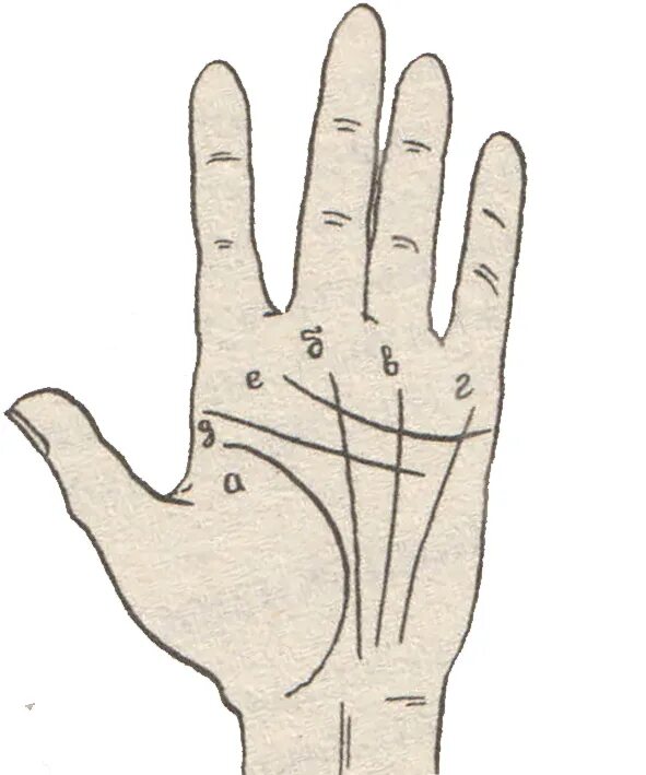 Хиромантия что означают линии на ладони. Венерин пояс хиромантия. Линия от мизинца. Хиромантия линия меркурия. Линия от линии сердца к безымянному пальцу.