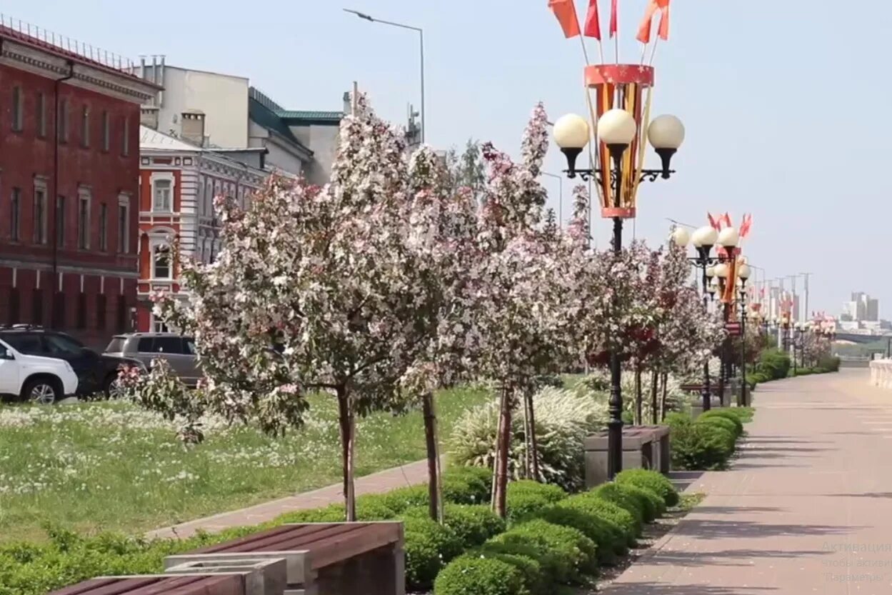 сакура бонн германия. сакура доставка вкусной еды. королевский ролл. 1 сушина на доске. сакура излучинск роллы.