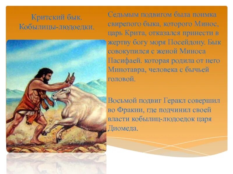 Подвиг 7 букв. Седьмой подвиг: Критский бык. Критский бык подвиг Геракла. 7 Подвиг Геракла Критский бык. Геракл укрощает Критского быка.