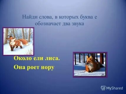 Лиса мягкий звук