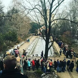 Очередь в аптекарский огород