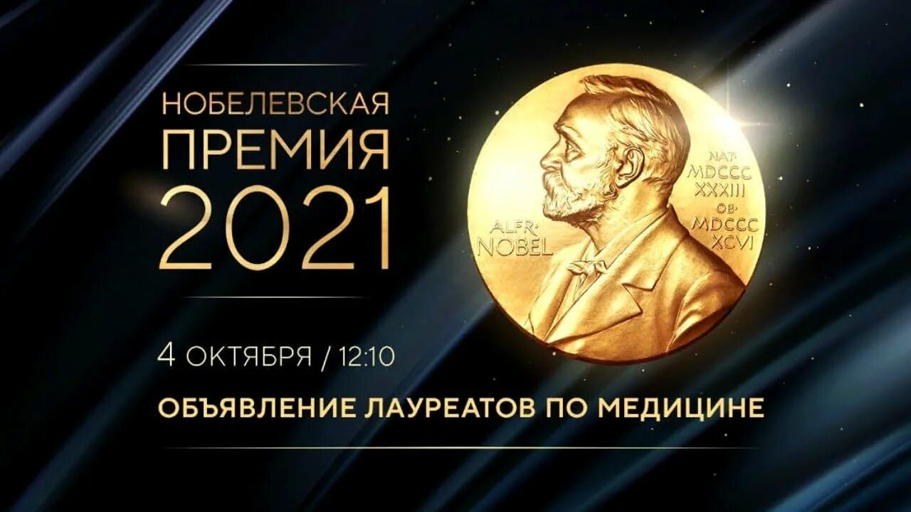 Нобелевская премия по медицине по годам. Нобелевская премия 1901 года по физике. Нобелевские лауреаты по физике 2021. Нобелевская премия по физике и химии. Физики с Нобелевской премией.