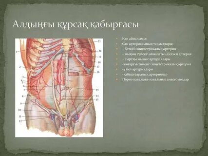 Қыздар секс Новокузнецк