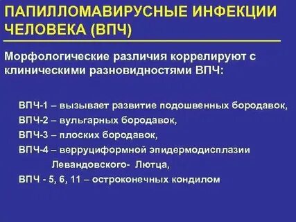 Папилломавирусную инфекцию отзывы