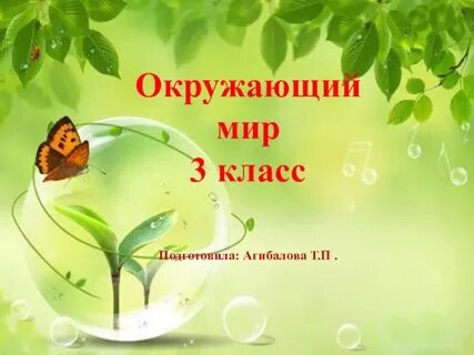 По окружаемому миру
