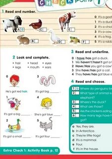 Smiles 3 grade module 5