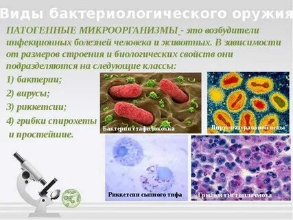 Патогенные вирусы вызывают