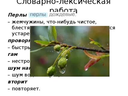 Что такое перлы дождевые в стихотворении