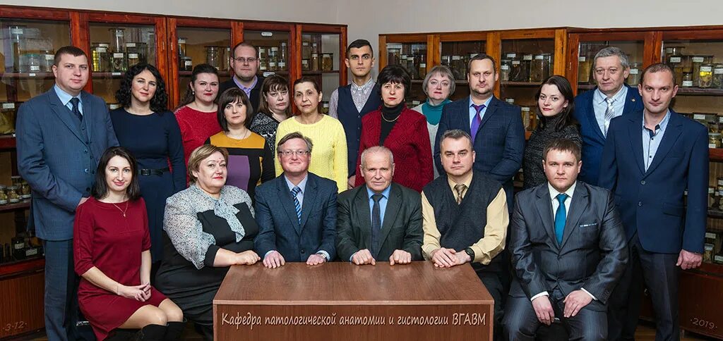 Преподаватели кафедры анатомии. Кафедра хирургии угавм троицк. кафедра патологической анатомии кгавм. спбгавм преподаватели. коллектив кафедры.