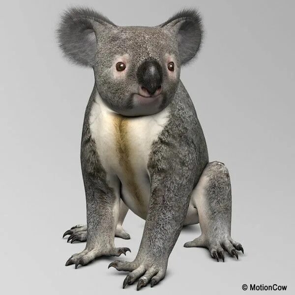Коала 3д. Koala 3d model. Коала 3д принтер. Dumbkoala коллекция работ художника dumb Koala.