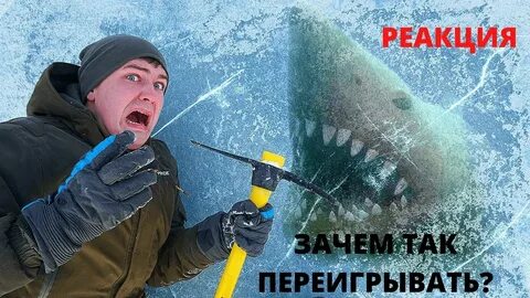 Жизнь виа находки во льдах