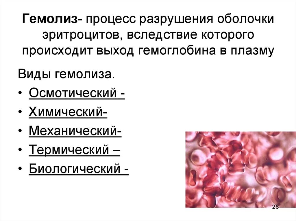 Процесс разрушения оболочки эритроцитов и выход гемоглобина в плазму. Причины осмотического гемолиза эритроцитов. Механический гемолиз эритроцитов. Гемолиз эритроцитов схема.