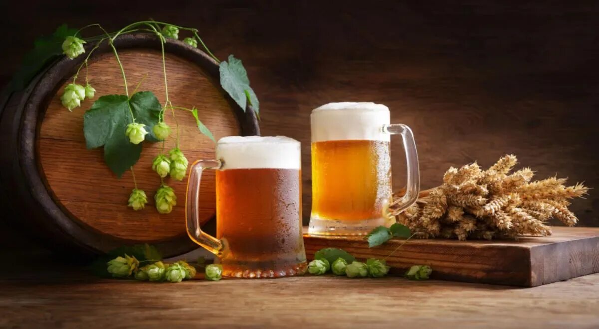 Can and beer