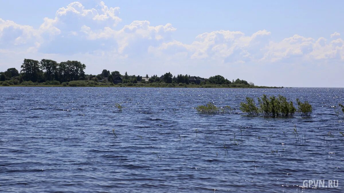 Остров войцы новгородская область. Деревня наволок. Деревня наволок новгородская область. Остров войцы озеро ильмень. Деревня наволок новгородская область.