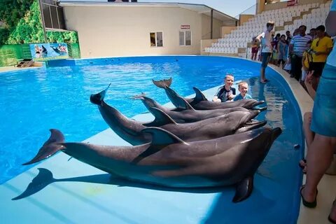 Куда сходить в анапе в плохую