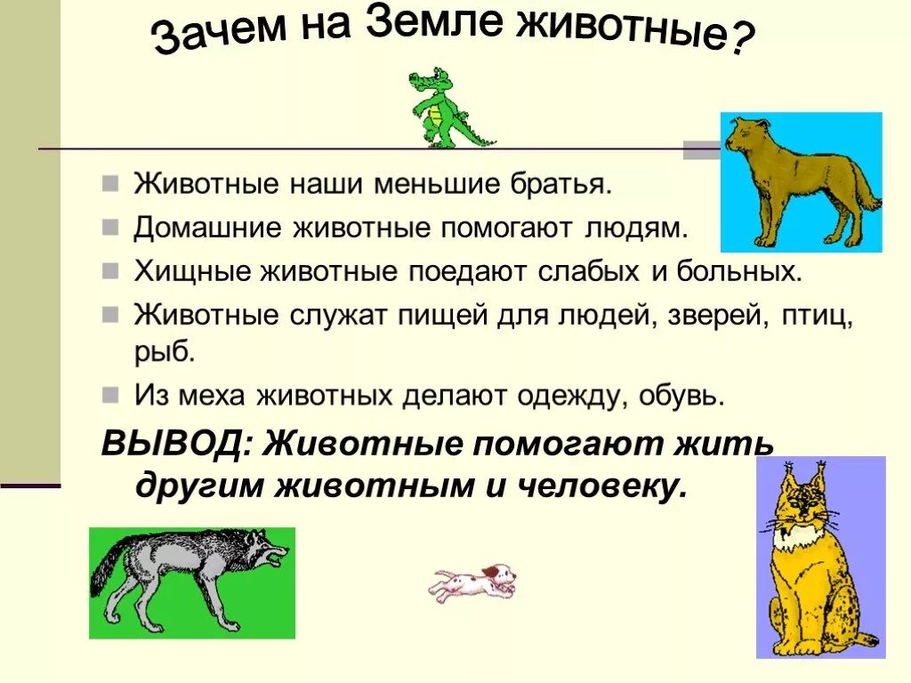 Почему животные важны для людей