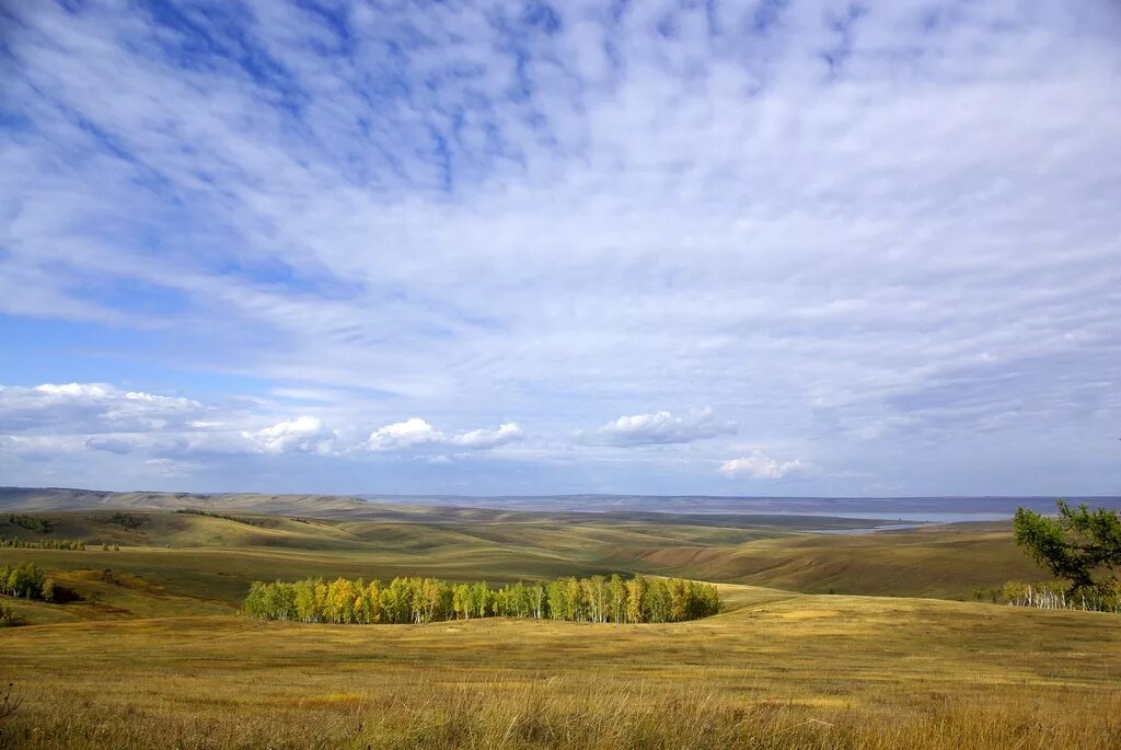 Степная климатическая зона