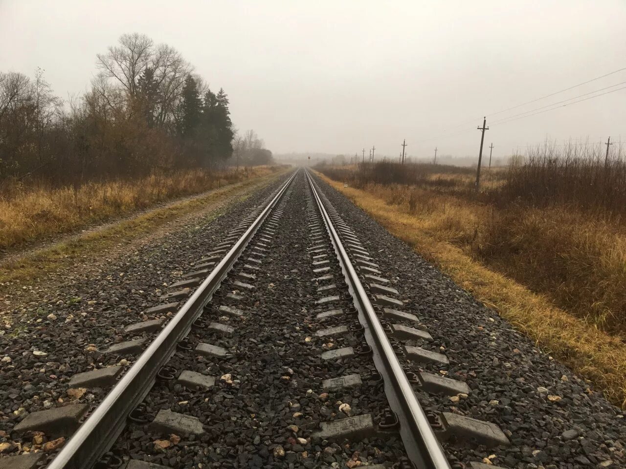 Изменения в смоленской области. Смоленск железнодорожные пути. Поезда по Смоленской области. Валутино Сошно Железнодорожная линия.