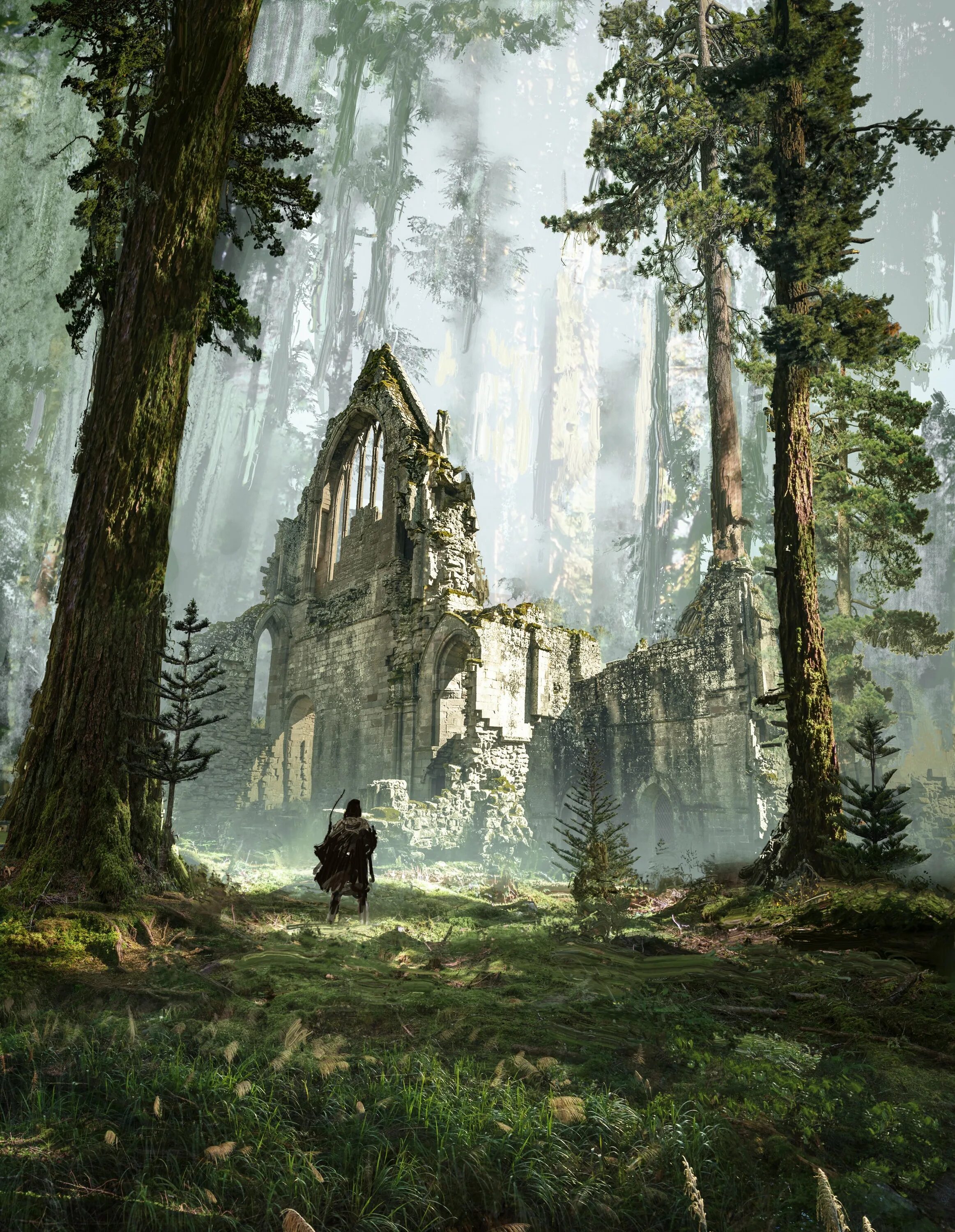 Леса шотландии. Машрум форест. Mushroom kingdom фэнтези. Ancient forest. Зачарованный лес арт.