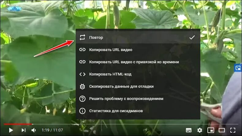 Как включить повторение видео на youtube. Зациклить видео на ютубе. Как поставить автоповтор на ютубе. Повторяющийся видеоролик. Повторять видео ютуб