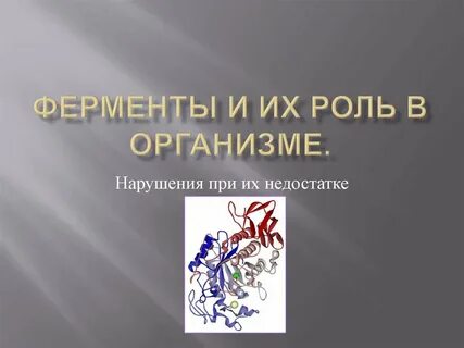 Ферменты биологические катализаторы 10 класс биология