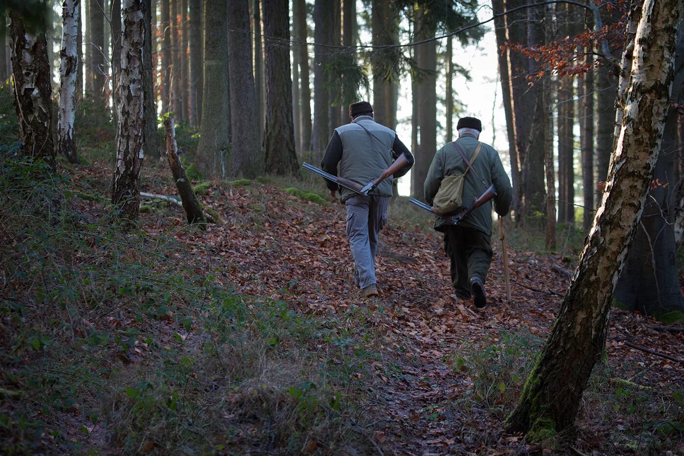 Погулять по лесу. Охотник в лесу. Мужики охотники в лесу. Двое мужчин в лесу. Два парня в лесу.
