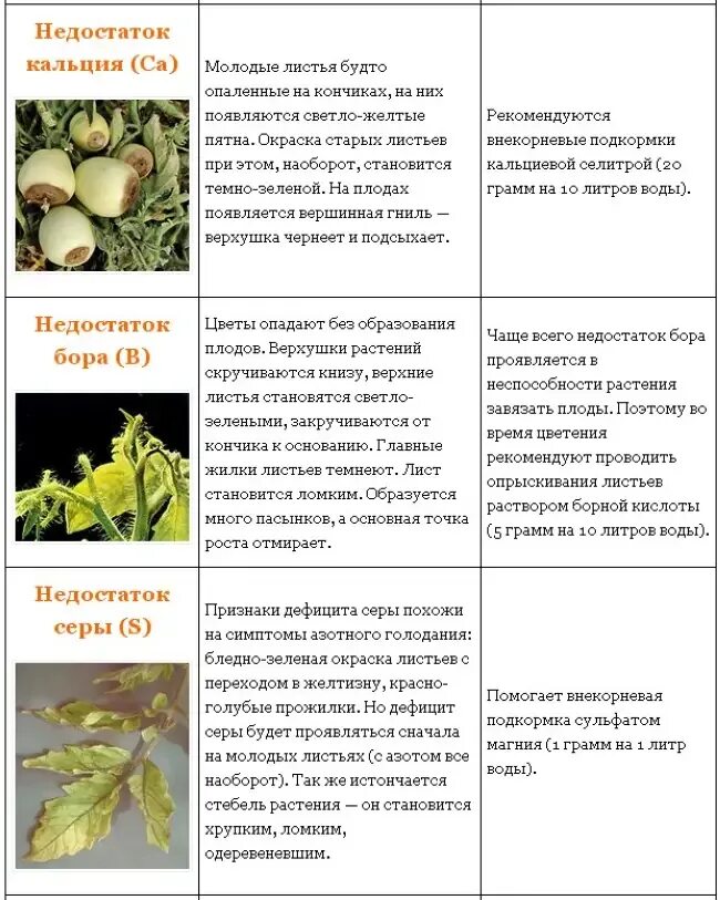 Таблица дефицита микроэлементов у томатов. Таблица нехватки микроэлементов у растений томатов. Нехватка микроэлементов у томатов. Болезни томатов нехватка элементов питания. Болезни листьев томатов описание