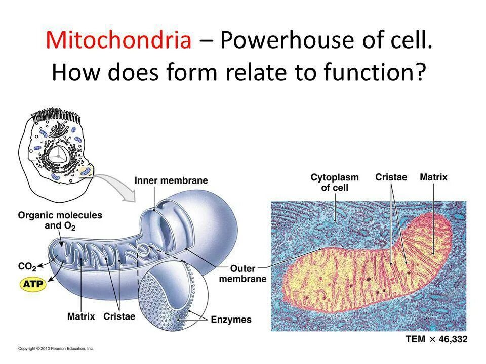Inner function. Inner function
