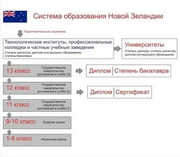 Новая система школьного образования