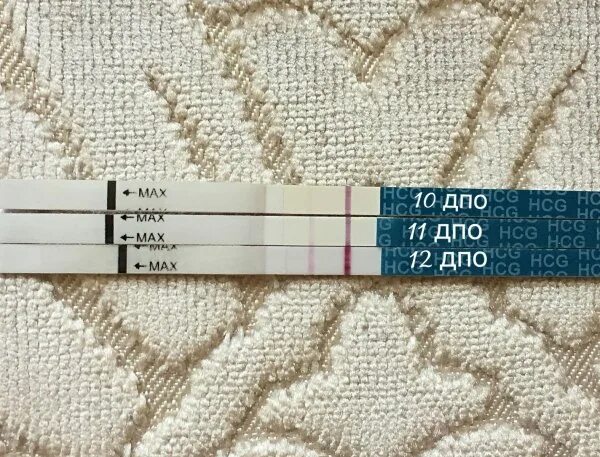 Повышение квалификации преподавателей. 19 дпо тест. Сертификат на монтажные работы. Фоп дпо. Документы для дпо.