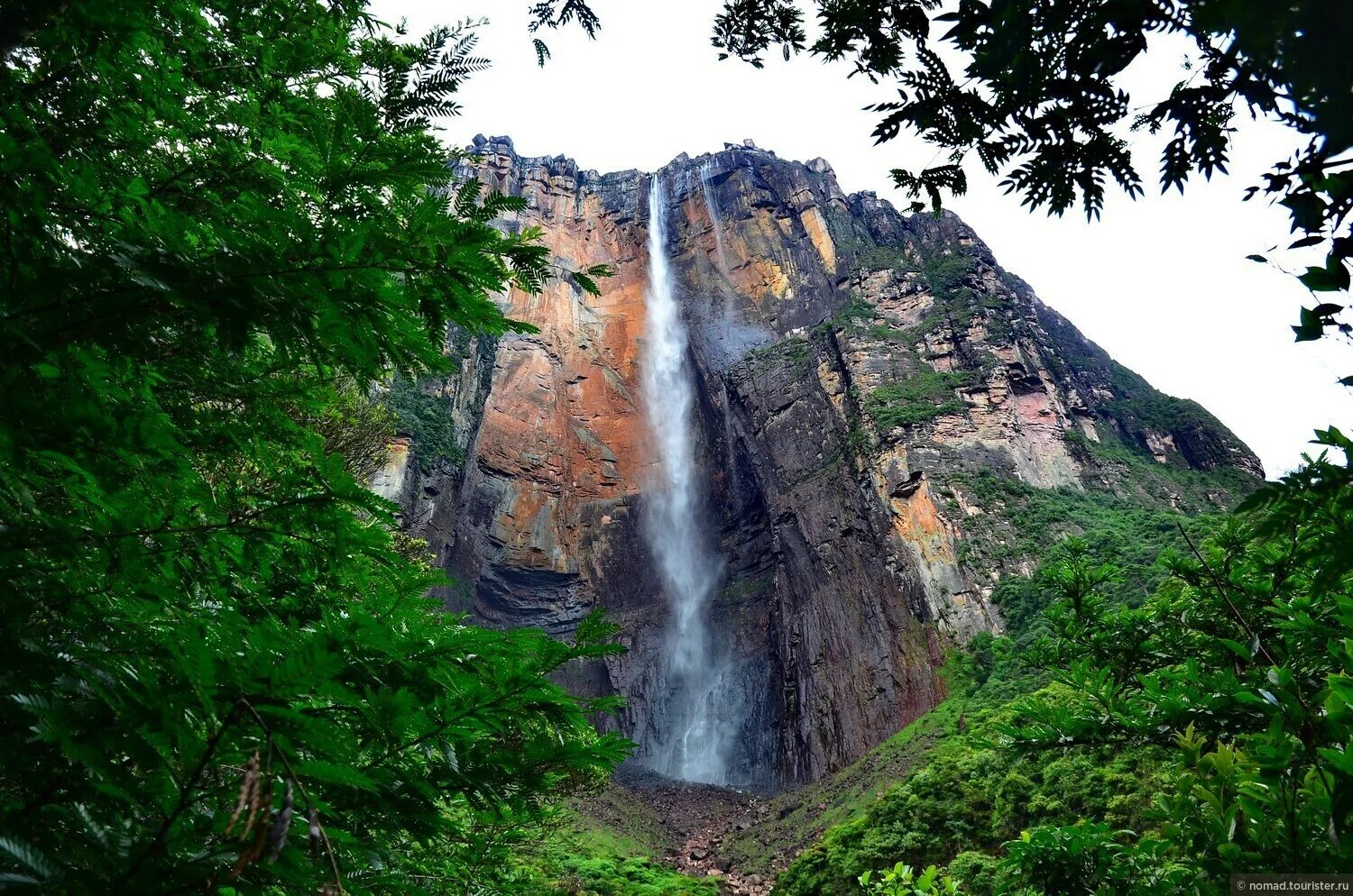 Водопад Анхель. Водопад Анхель Венесуэла. Самый высокий водопад в мире Анхель. Боливар Венесуэла водопад.