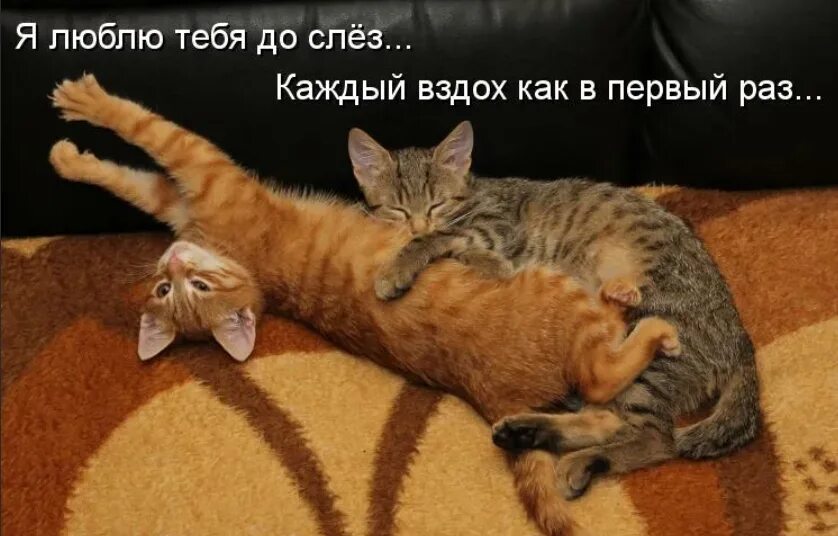 За каждый миг за каждый вздох. Я люблю тебя с каждым вздохом. Я люблю тебя до сле́з. За каждый шаг за каждый вздох за то что дал мне бог. Я люблю тебя до слез прикол.