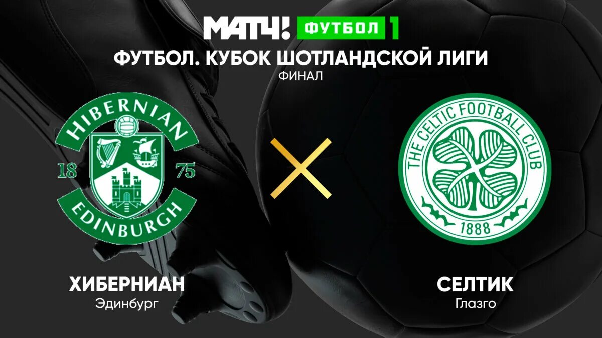 20 схема подключения. Газовый котел дайсунг 41 квт. Arderia котёл газовый схема. Газовый котел arderia 23,3 квт паспорт. Ошибки котла селтик.