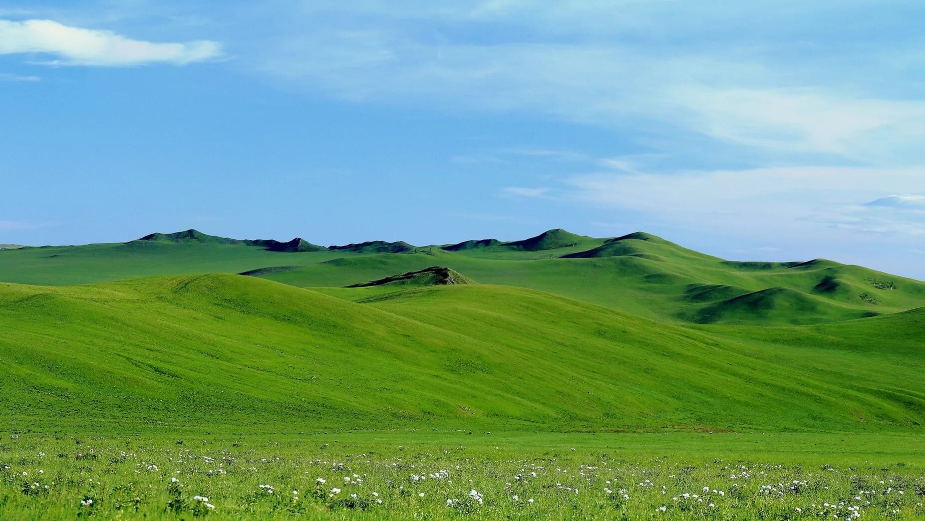 Луг как бархат