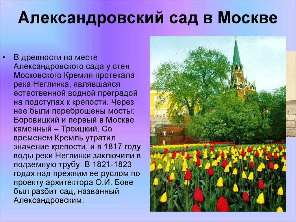 Сады сообщение. Презентация александровский сад москва. александровский сад кратко. описание сада. сообщение об александровском саде.