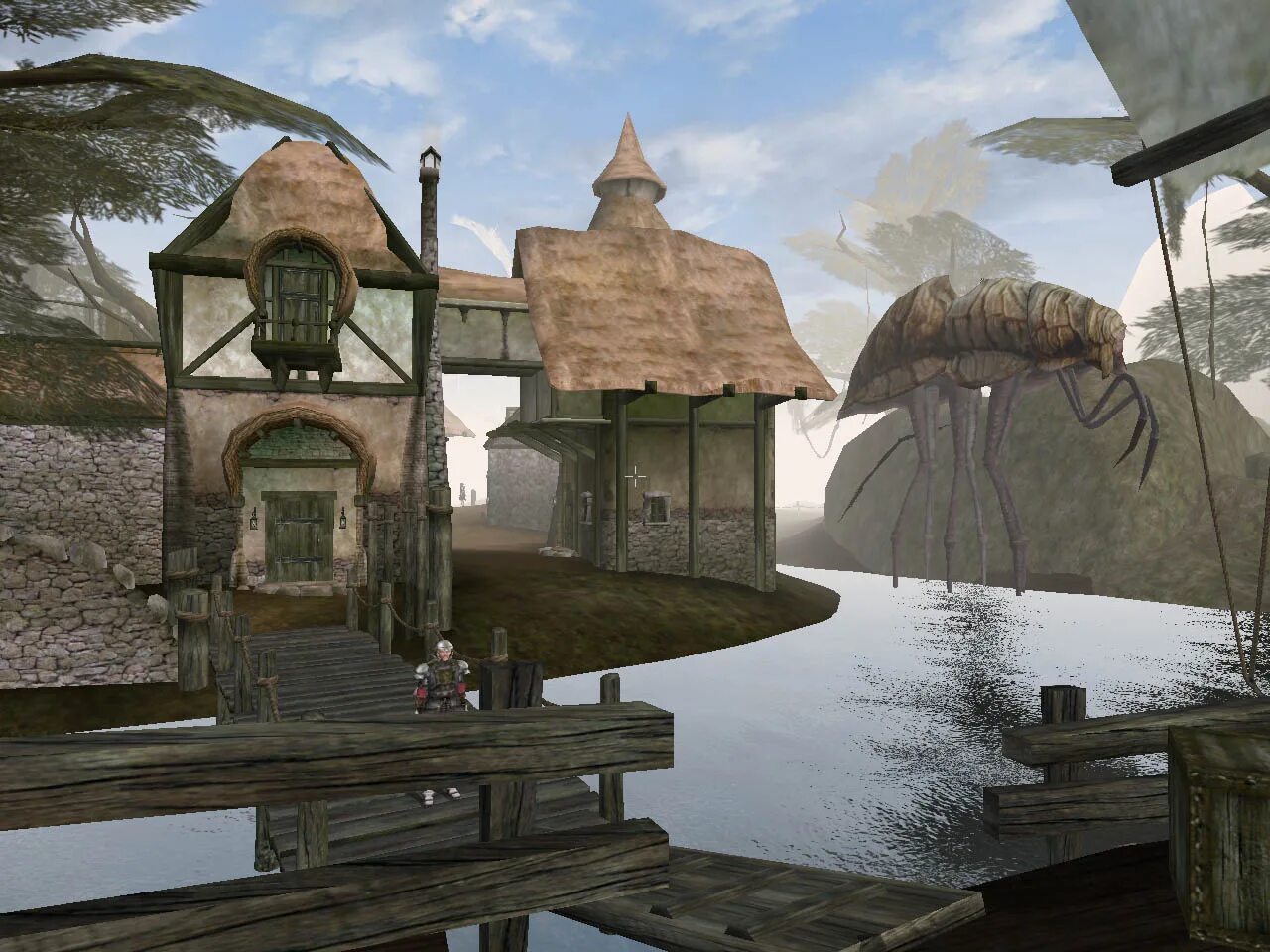The older scrolls morrowind. Сейда нин the elder scrolls 3. the elder scrolls iii: morrowind. the elder scrolls морровинд. tes 3 морровинд.