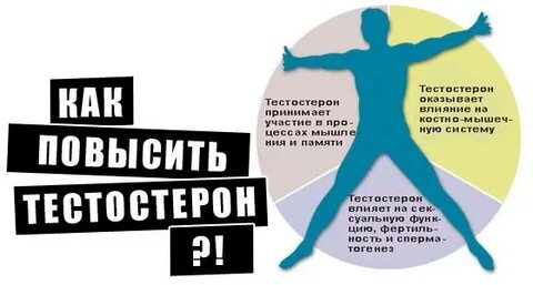 Тестестерона
