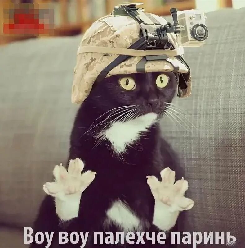 Воу мем. Воу воу модник. Воу-воу палехче мем воу. Прикол воу воу воу. Воу воу потише романтики.
