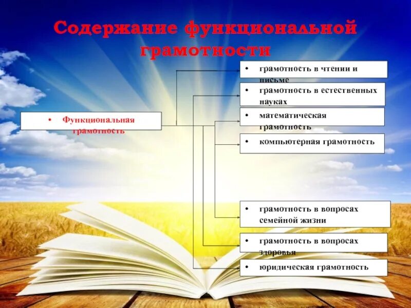 Конспект урока функциональной грамотности