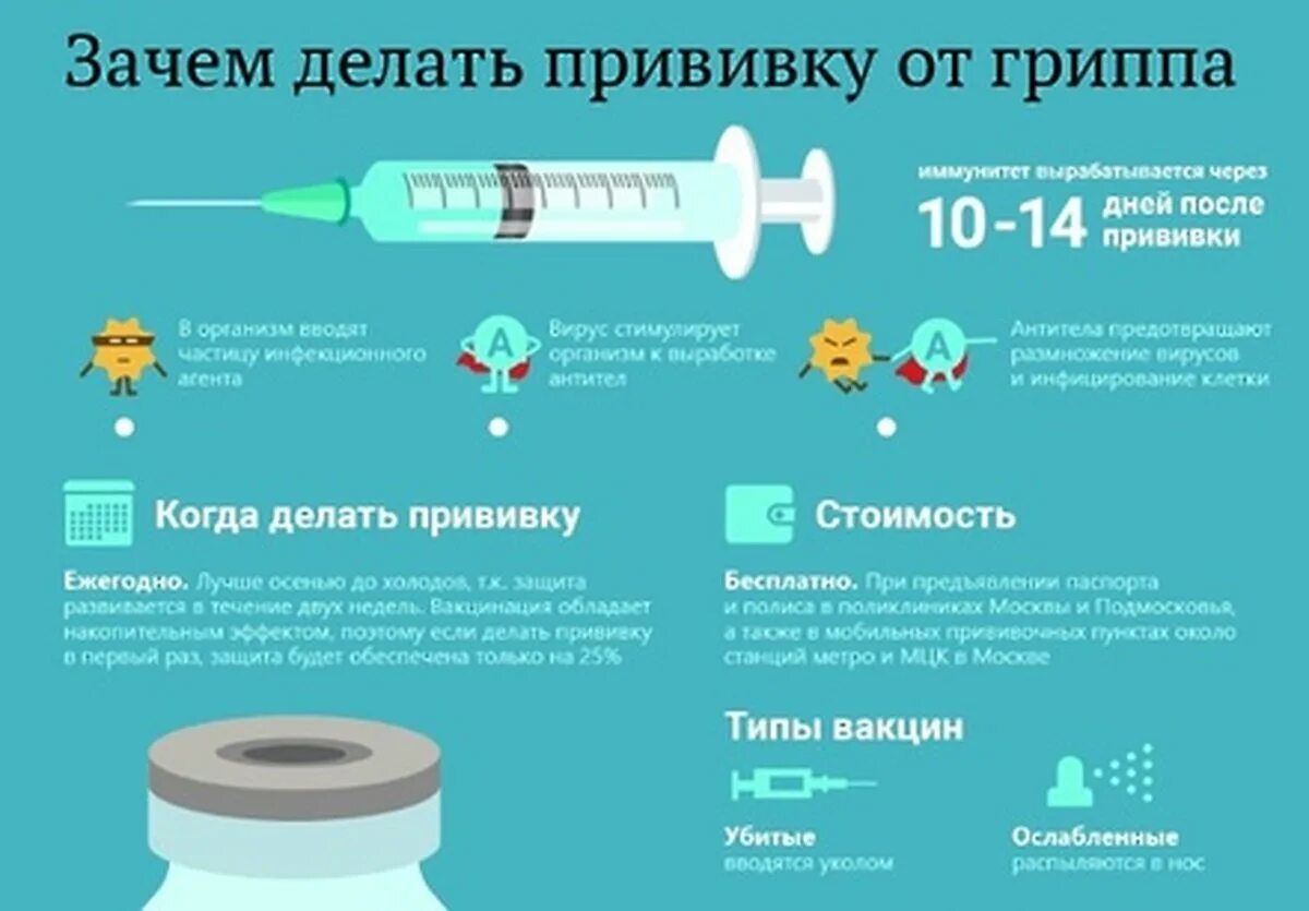 Прививка от гриппа какую сделать. Вакцинация от гриппа. прививки от гриппа. вакцинация от гриппа инфографика. зачем делать прививку.