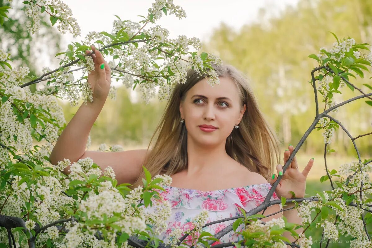 Найти песню черемуха. Найти песню черемуха. Сергей есенин черёмуха душистая. Под окном черёмуха колышется слова. Сергей есенин стихи черемуха.