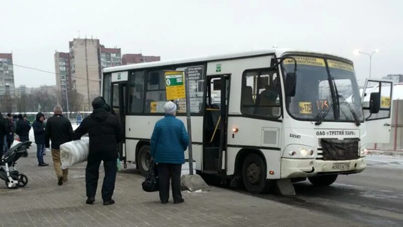 Когда упал автобус в питере. Автобус в питере врезался в столб. эвакуация автобуса. автобус пассажиры питер.